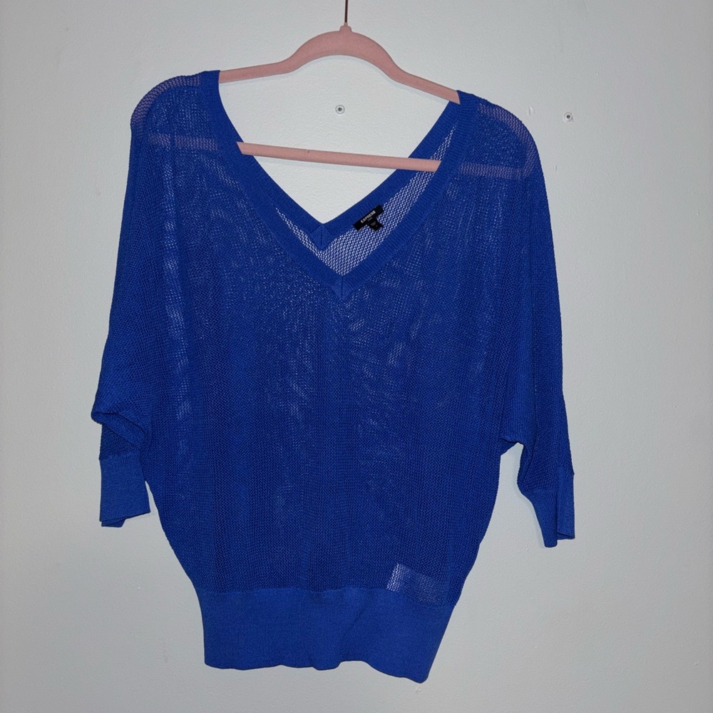 Express Royal Blue V-Neck Sweater